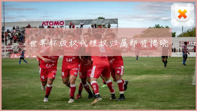 世界杯版权代理权归属即将揭晓