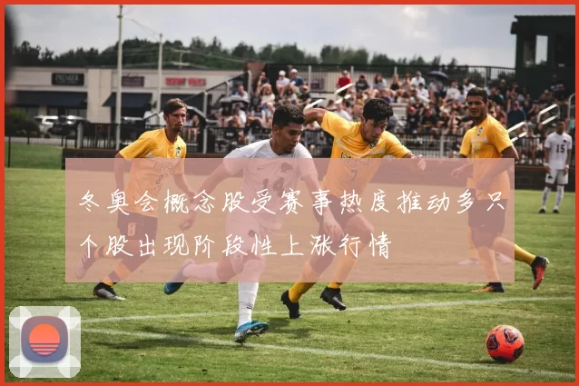 冬奥会概念股受赛事热度推动多只个股出现阶段性上涨行情