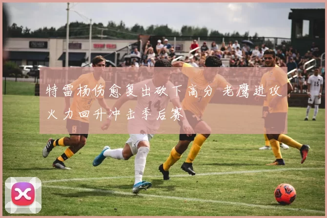 特雷杨伤愈复出砍下高分 老鹰进攻火力回升冲击季后赛