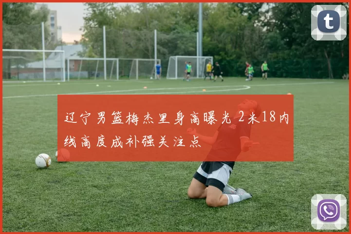 辽宁男篮梅杰里身高曝光 2米18内线高度成补强关注点